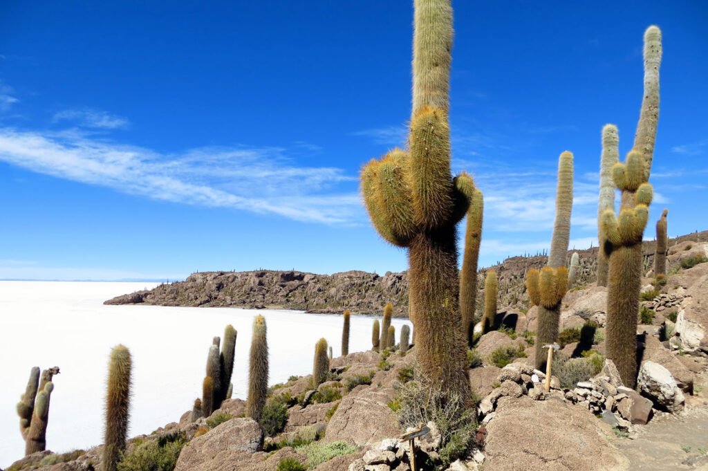 Incahuasi Island