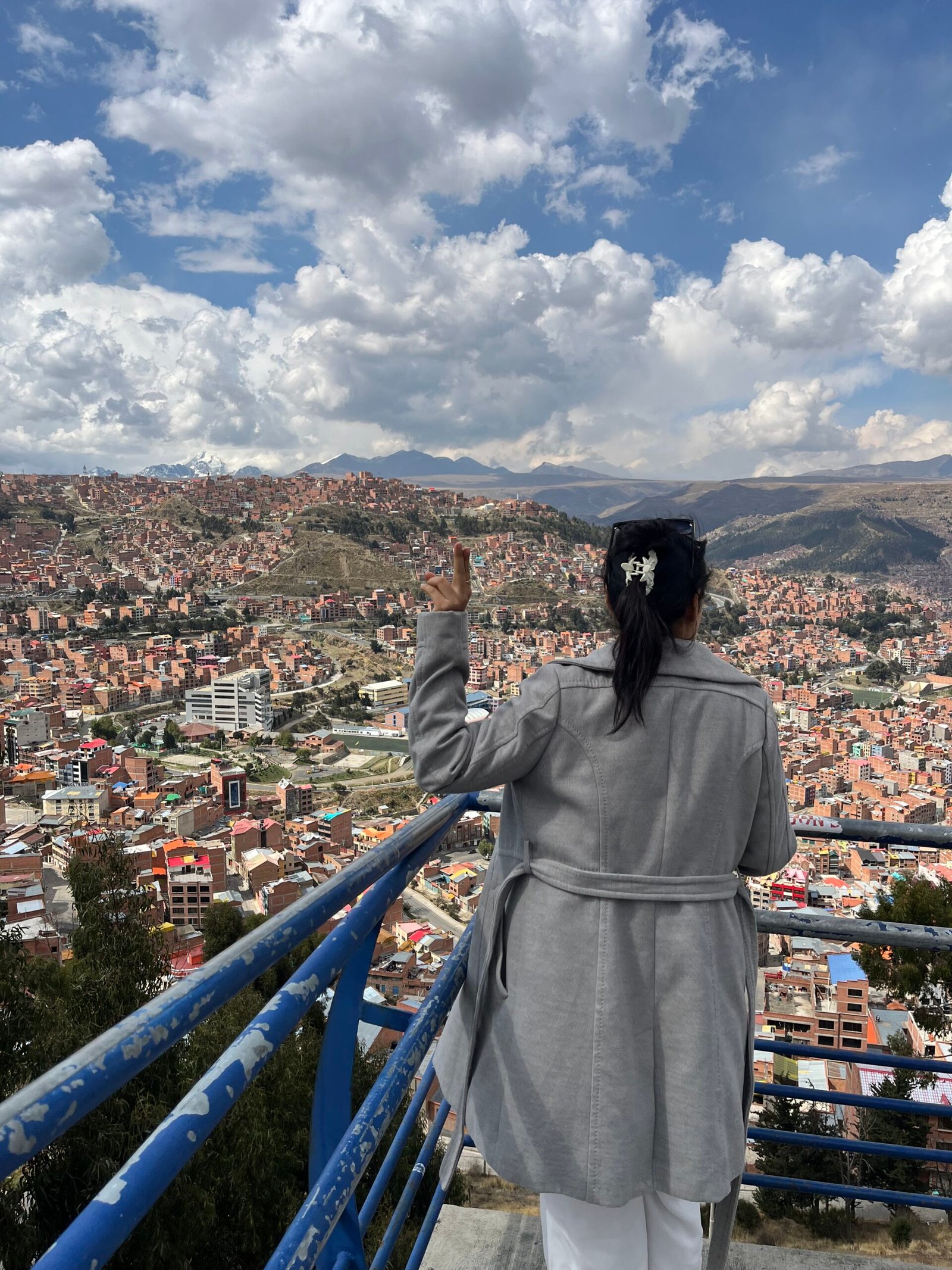 Views of La Paz from El Alto